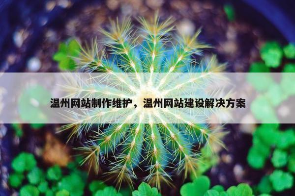 温州网站制作维护，温州网站建设解决方案