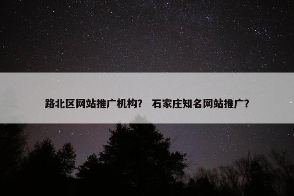 路北区网站推广机构？ 石家庄知名网站推广？