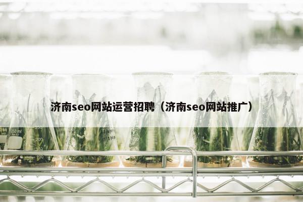 济南seo网站运营招聘（济南seo网站推广）