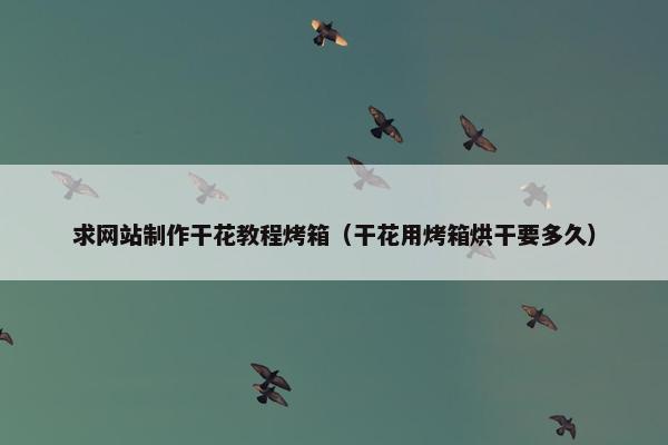 求网站制作干花教程烤箱（干花用烤箱烘干要多久）