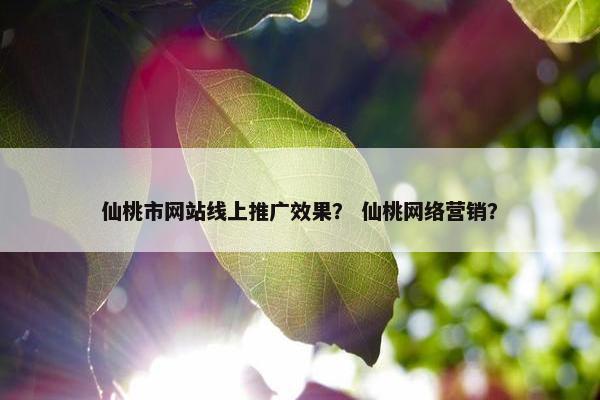 仙桃市网站线上推广效果？ 仙桃网络营销？
