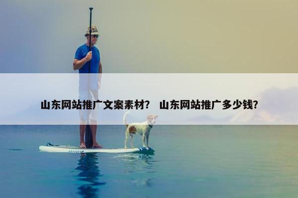 山东网站推广文案素材？ 山东网站推广多少钱？