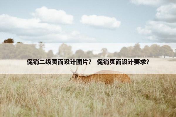 促销二级页面设计图片？ 促销页面设计要求？