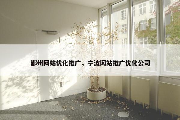 鄞州网站优化推广，宁波网站推广优化公司