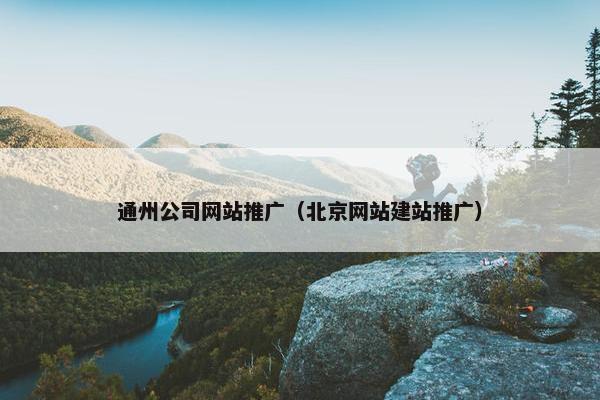 通州公司网站推广（北京网站建站推广）