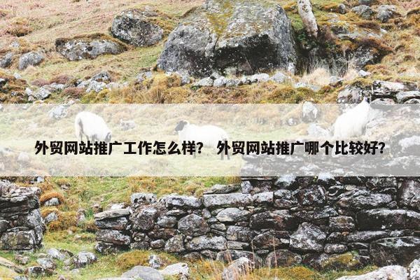 外贸网站推广工作怎么样？ 外贸网站推广哪个比较好？