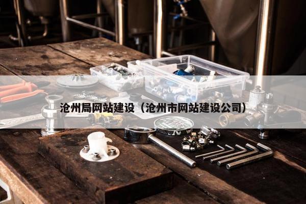 沧州局网站建设（沧州市网站建设公司）