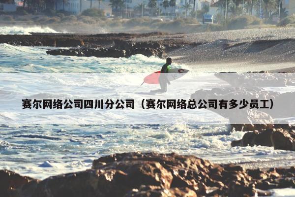 赛尔网络公司四川分公司（赛尔网络总公司有多少员工）