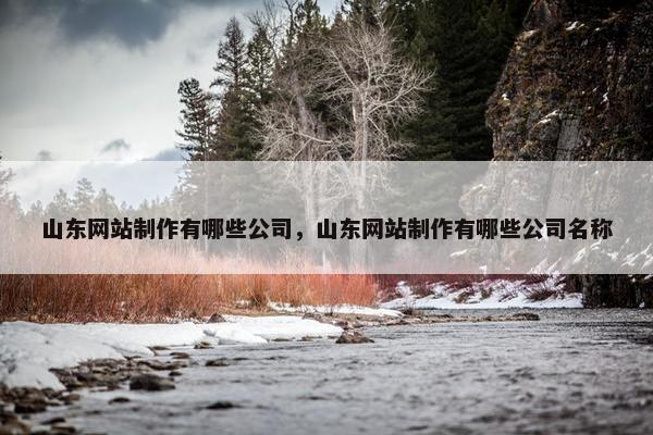 山东网站制作有哪些公司，山东网站制作有哪些公司名称