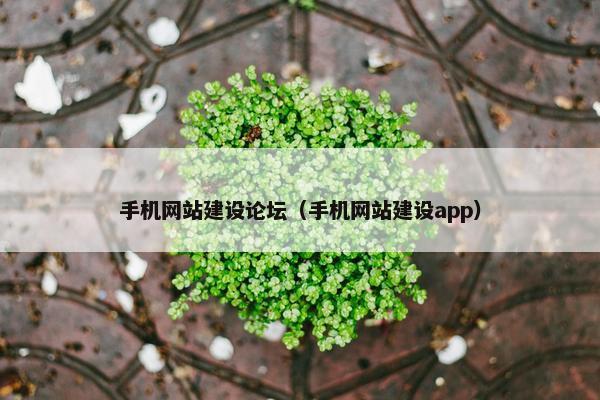 手机网站建设论坛（手机网站建设app）