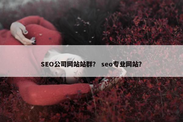 SEO公司网站站群？ seo专业网站？
