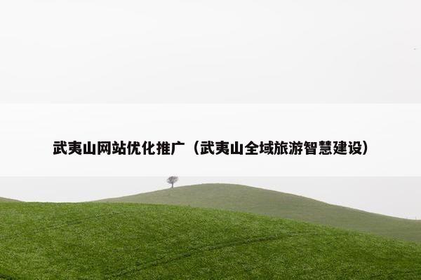 武夷山网站优化推广（武夷山全域旅游智慧建设）