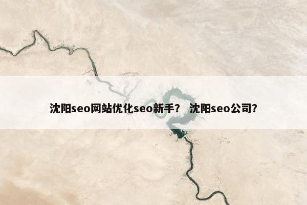 沈阳seo网站优化seo新手？ 沈阳seo公司？