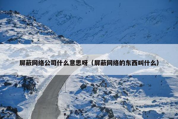 屏蔽网络公司什么意思呀（屏蔽网络的东西叫什么）