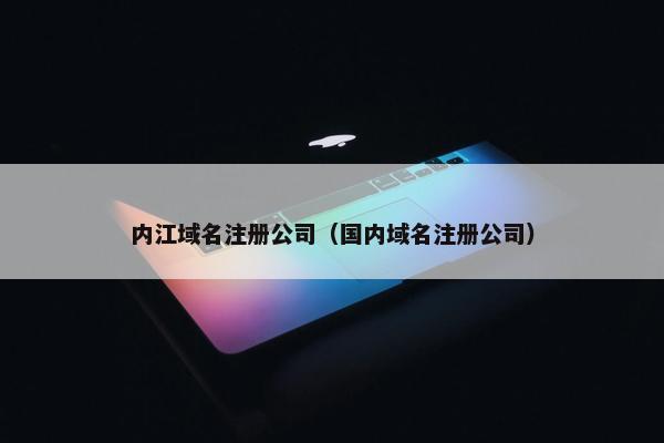 内江域名注册公司（国内域名注册公司）