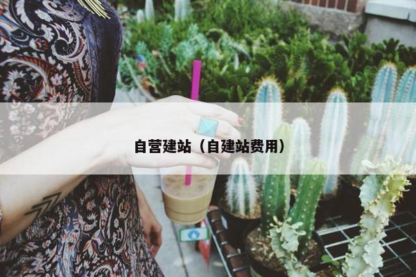 自营建站（自建站费用）