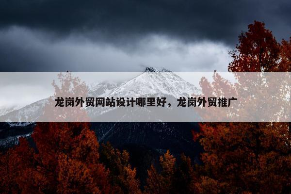 龙岗外贸网站设计哪里好，龙岗外贸推广
