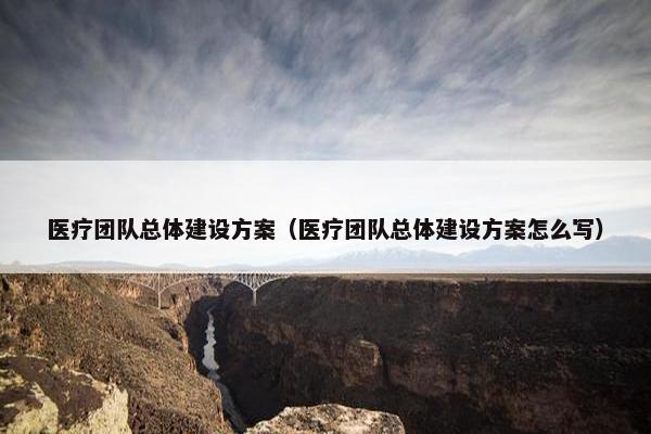 医疗团队总体建设方案（医疗团队总体建设方案怎么写）