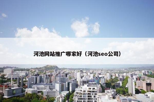 河池网站推广哪家好（河池seo公司）