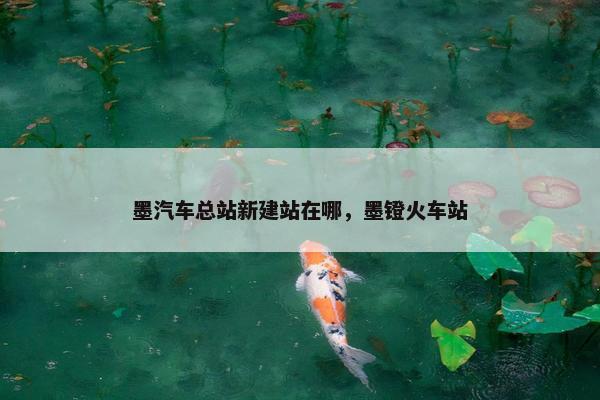 墨汽车总站新建站在哪，墨镫火车站