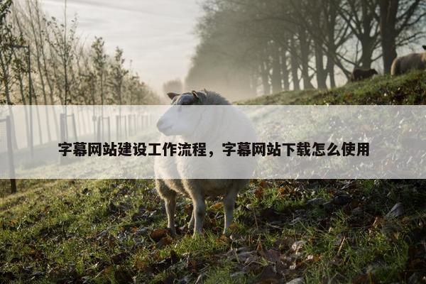 字幕网站建设工作流程，字幕网站下载怎么使用
