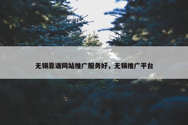 无锡靠谱网站推广服务好，无锡推广平台