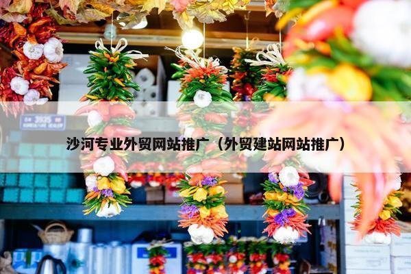 沙河专业外贸网站推广（外贸建站网站推广）
