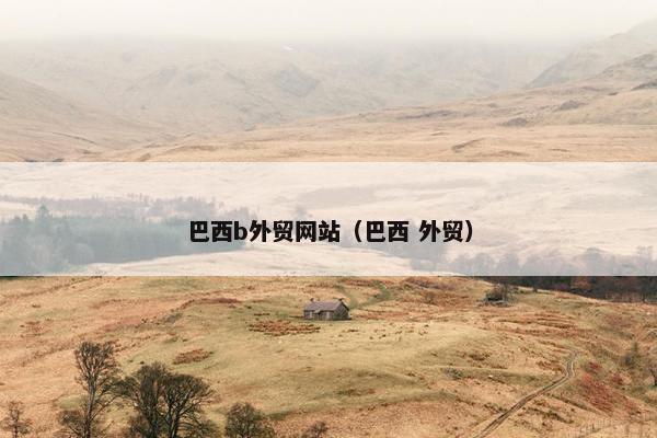 巴西b外贸网站（巴西 外贸）