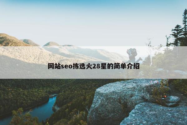 网站seo拣选火28星的简单介绍
