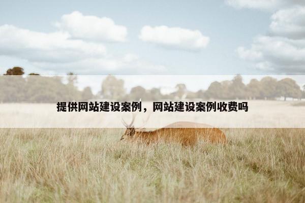 提供网站建设案例，网站建设案例收费吗