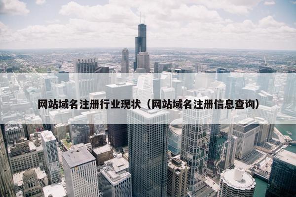 网站域名注册行业现状（网站域名注册信息查询）