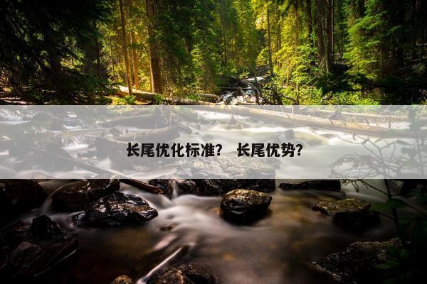 长尾优化标准？ 长尾优势？