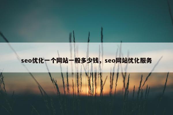 seo优化一个网站一般多少钱，seo网站优化服务