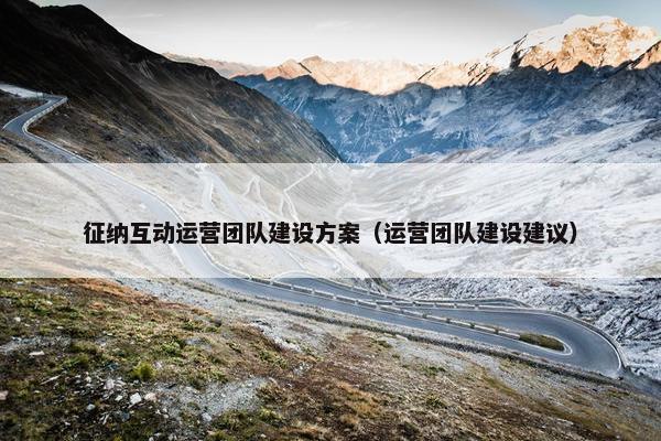 征纳互动运营团队建设方案（运营团队建设建议）