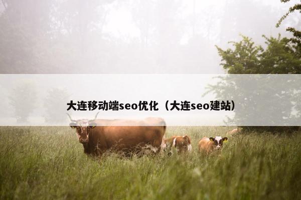 大连移动端seo优化（大连seo建站）