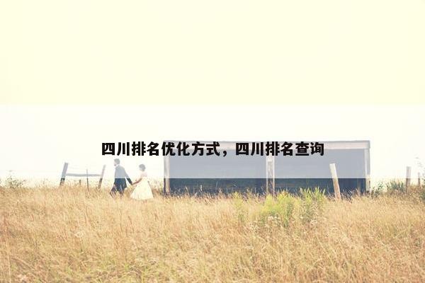 四川排名优化方式，四川排名查询
