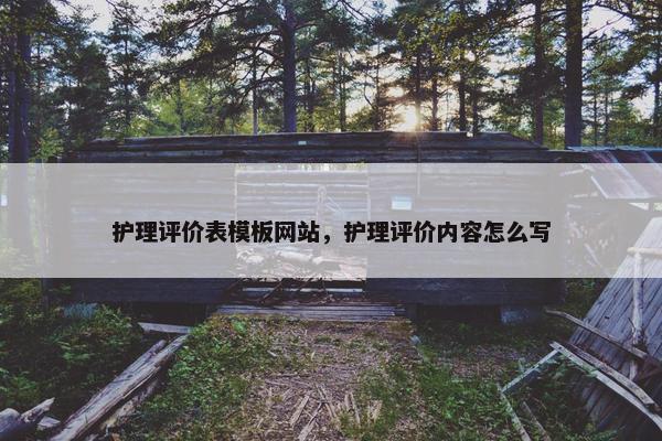 护理评价表模板网站，护理评价内容怎么写