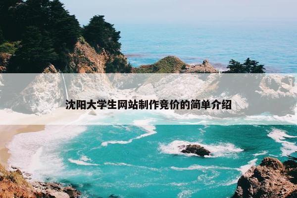 沈阳大学生网站制作竞价的简单介绍