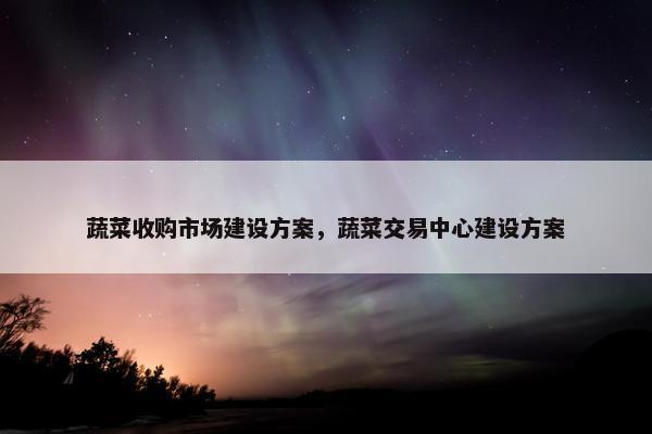蔬菜收购市场建设方案，蔬菜交易中心建设方案