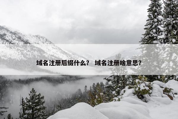 域名注册后缀什么？ 域名注册啥意思？