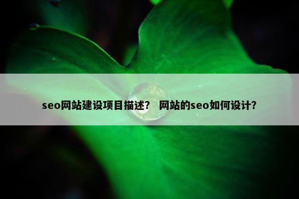 seo网站建设项目描述？ 网站的seo如何设计？