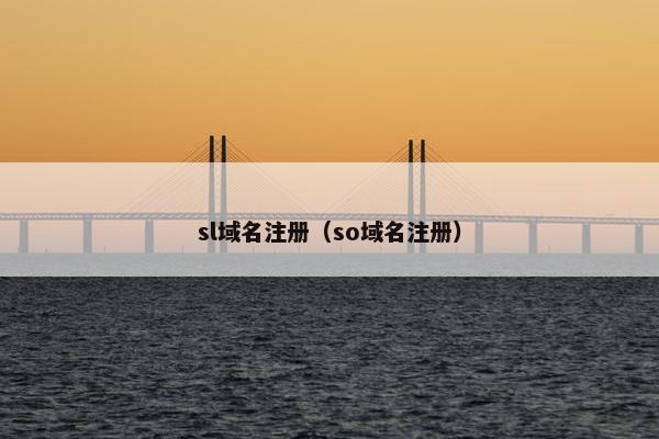 sl域名注册（so域名注册）