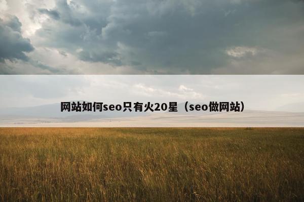 网站如何seo只有火20星（seo做网站）