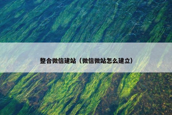 整合微信建站（微信微站怎么建立）
