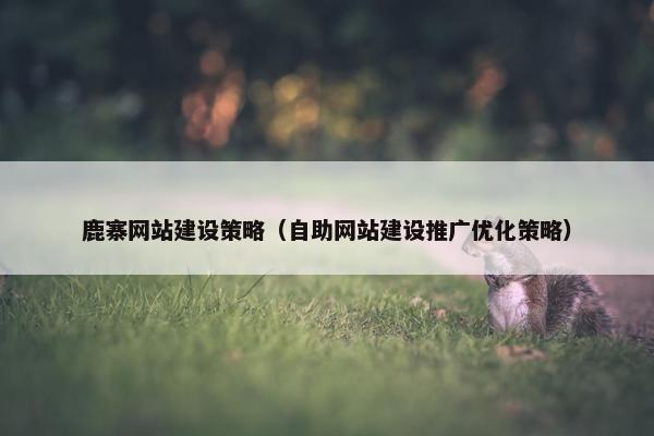 鹿寨网站建设策略（自助网站建设推广优化策略）