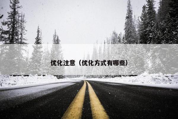 优化注意（优化方式有哪些）
