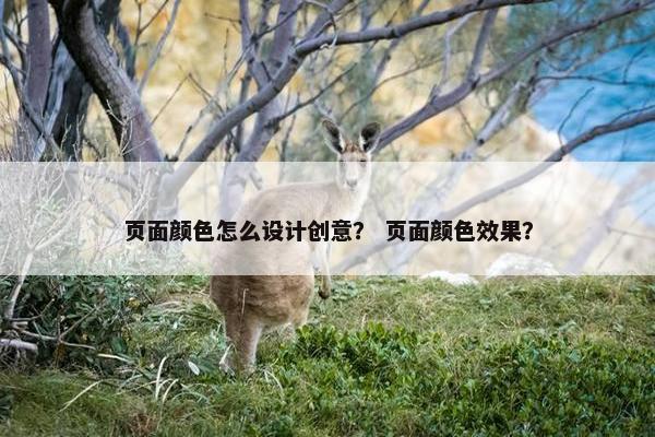 页面颜色怎么设计创意？ 页面颜色效果？