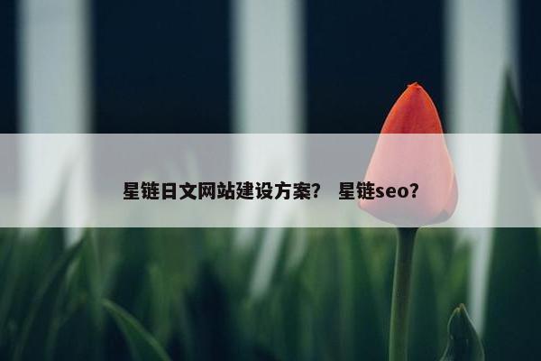 星链日文网站建设方案？ 星链seo？