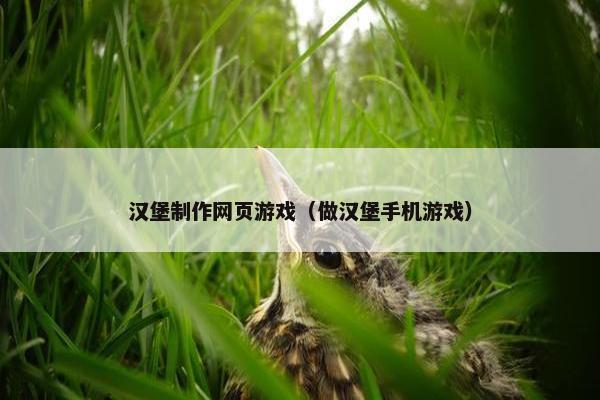 汉堡制作网页游戏（做汉堡手机游戏）
