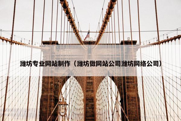 潍坊专业网站制作（潍坊做网站公司潍坊网络公司）